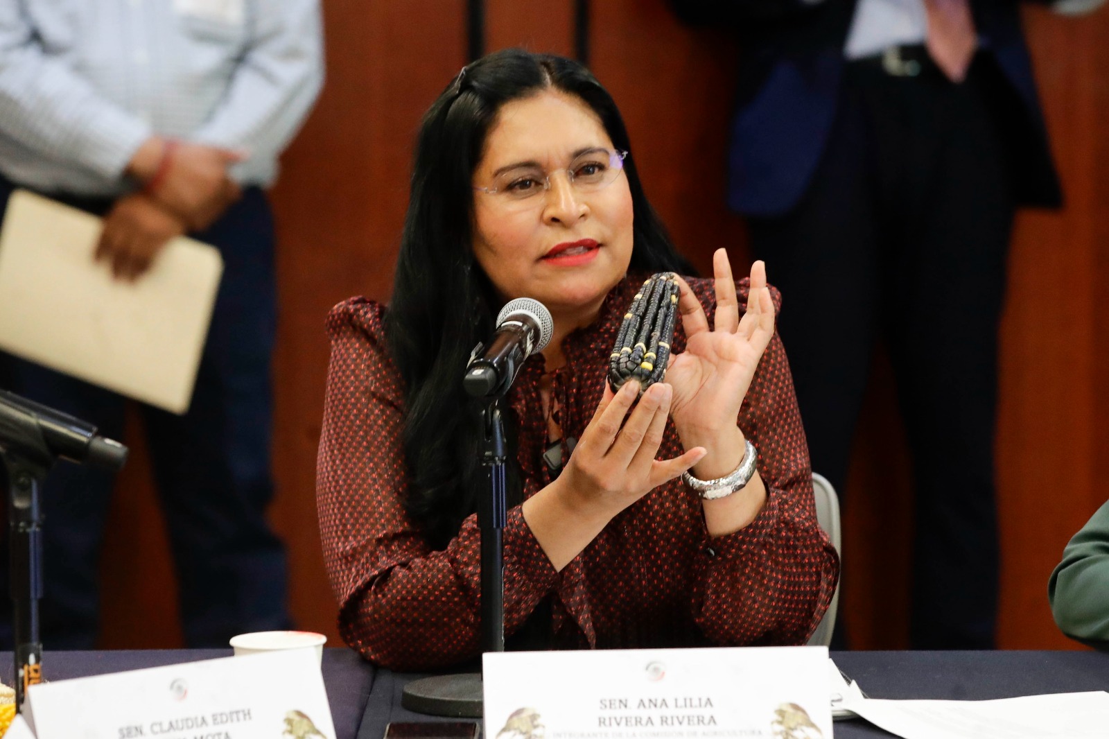 Acuerdo nacional por el maíz fortalece la soberanía alimentaria: Ana Lilia Rivera